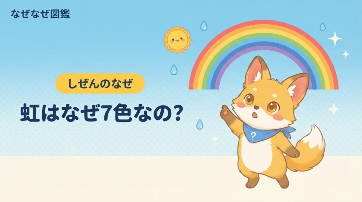 きなこが虹を指差すアイキャッチ。虹はなぜ7色なのかを図解でやさしく解説