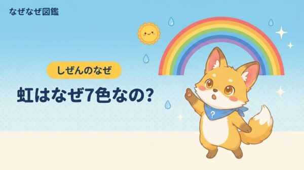 きなこが虹を指差すアイキャッチ。虹はなぜ7色なのかを図解でやさしく解説