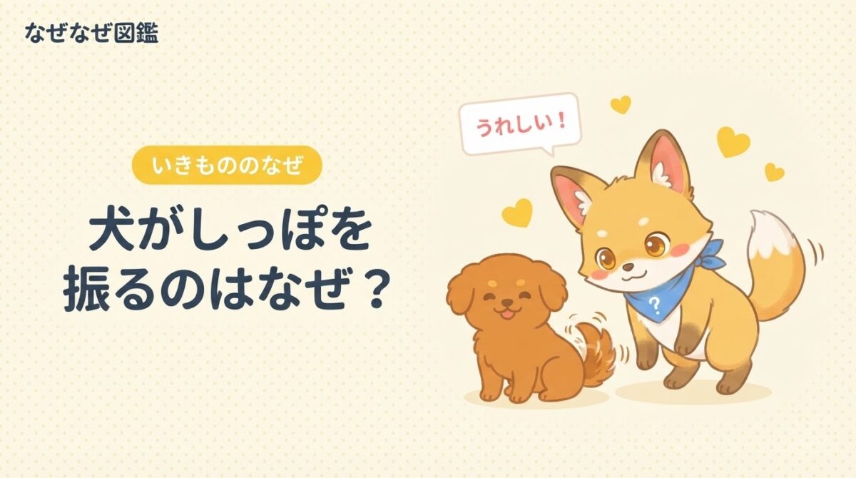 きなこと犬がならぶアイキャッチ。犬がしっぽを振るのはなぜかを図解でやさしく解説