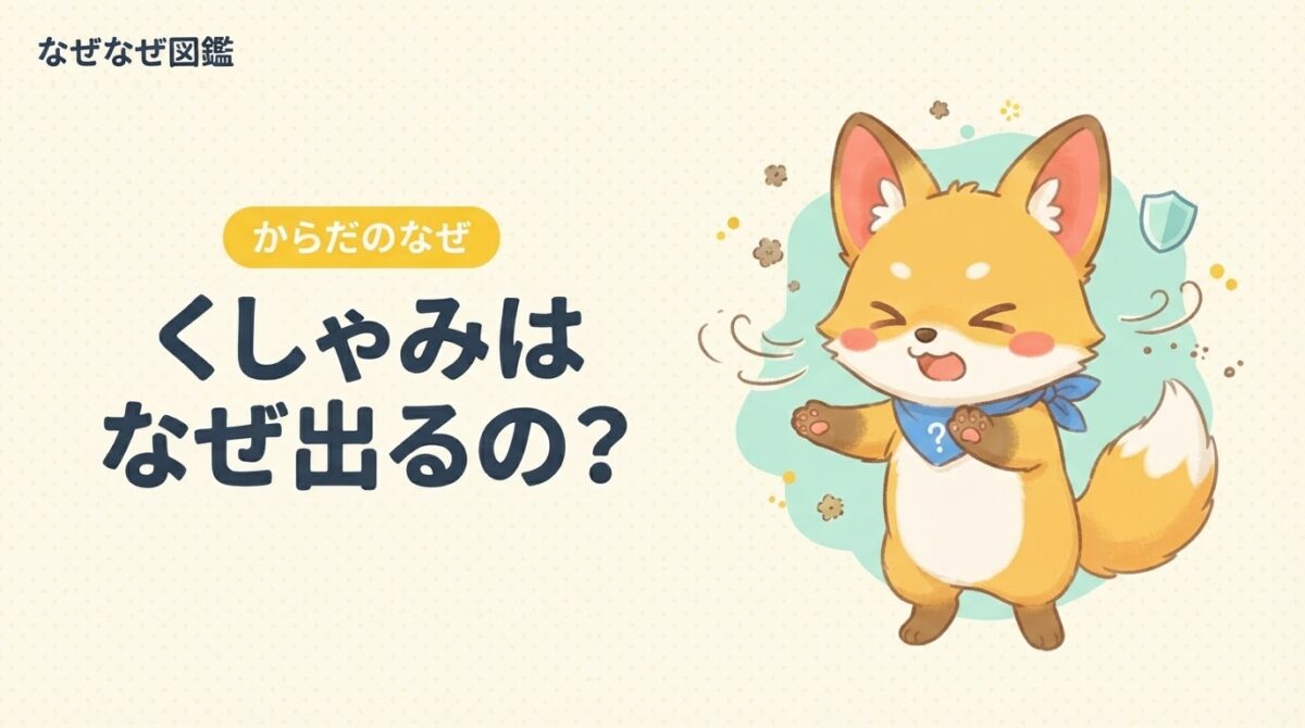 くしゃみをしているきなこ。からだの番人のひみつを図解でやさしく解説