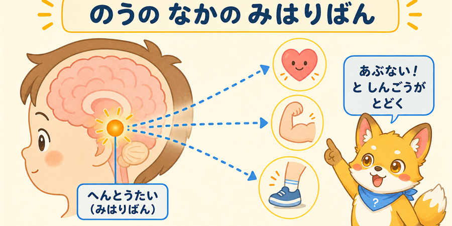 脳の扁桃体が危険を察知して信号を送る図解