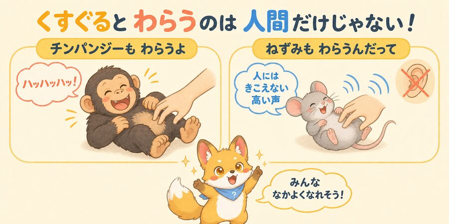 動物も笑う比較図解