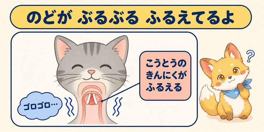 猫の喉頭の筋肉がふるえてゴロゴロ音が生まれるしくみの図解