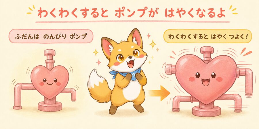 興奮すると心臓のポンプが速く動くしくみの図解