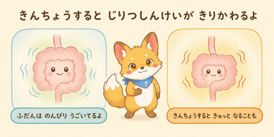 緊張で自律神経が切りかわりおなかの動きが変わるしくみの図解