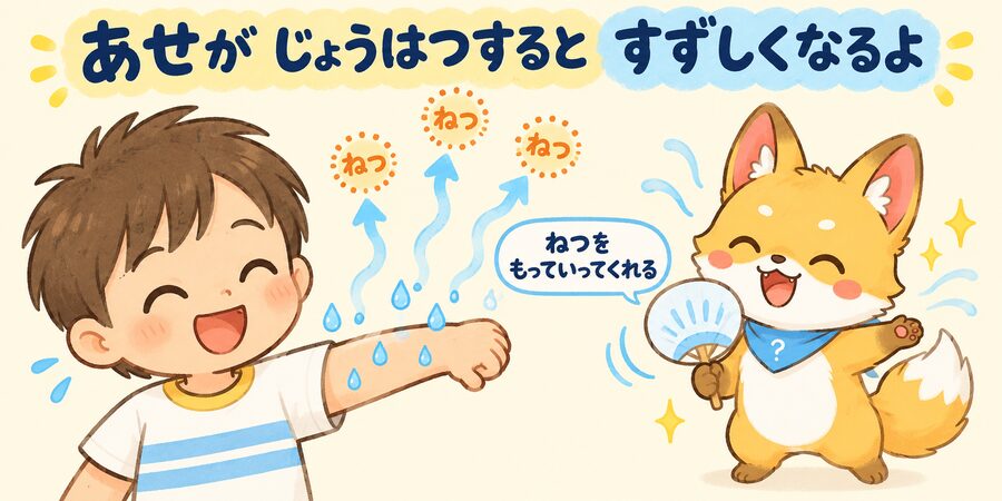 汗の蒸発で体温が下がるしくみの図解